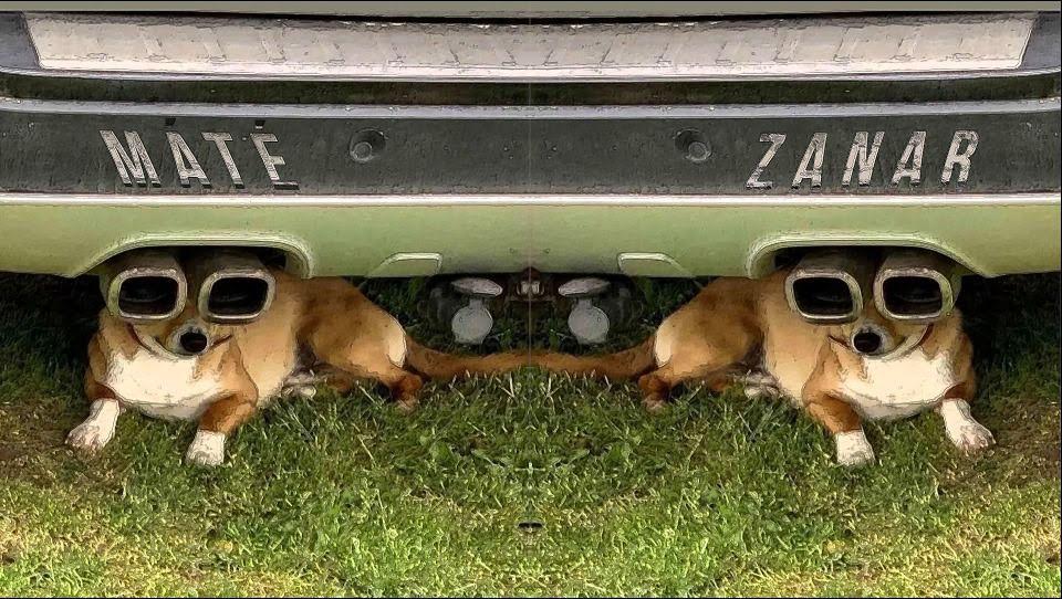 Máté & Zanar – All Night Long