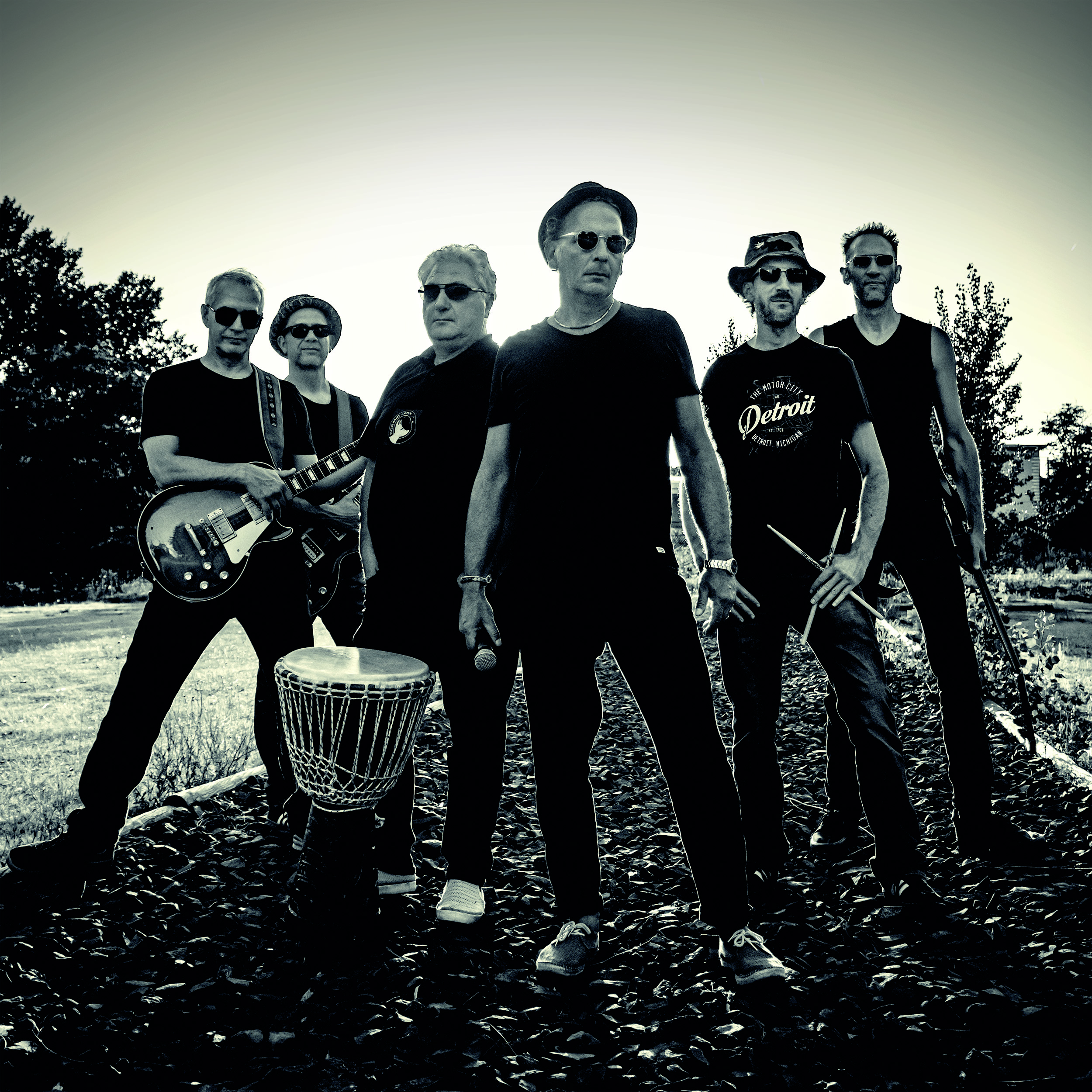 Cosmic Fox Cosmic Fox