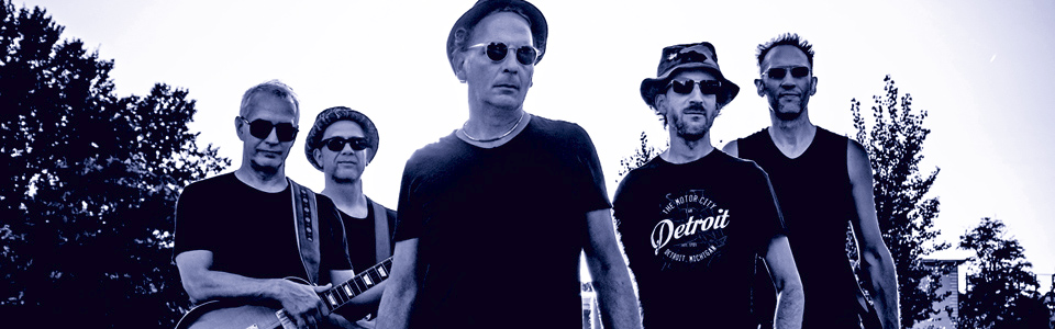 Cosmic Fox Cosmic Fox